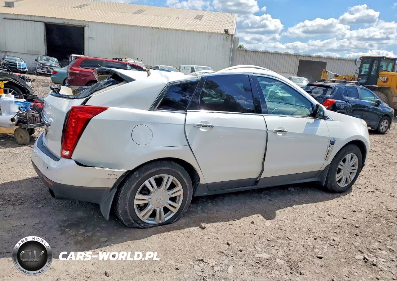 2010 Cadillac Srx Luxury Collection VIN:3GYFNDEY8AS642472 - 3