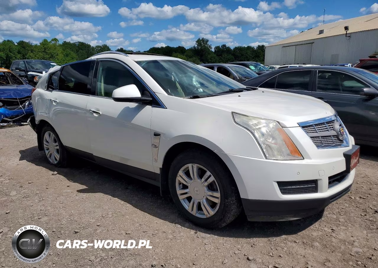 2010 Cadillac Srx Luxury Collection VIN:3GYFNDEY8AS642472 - 4