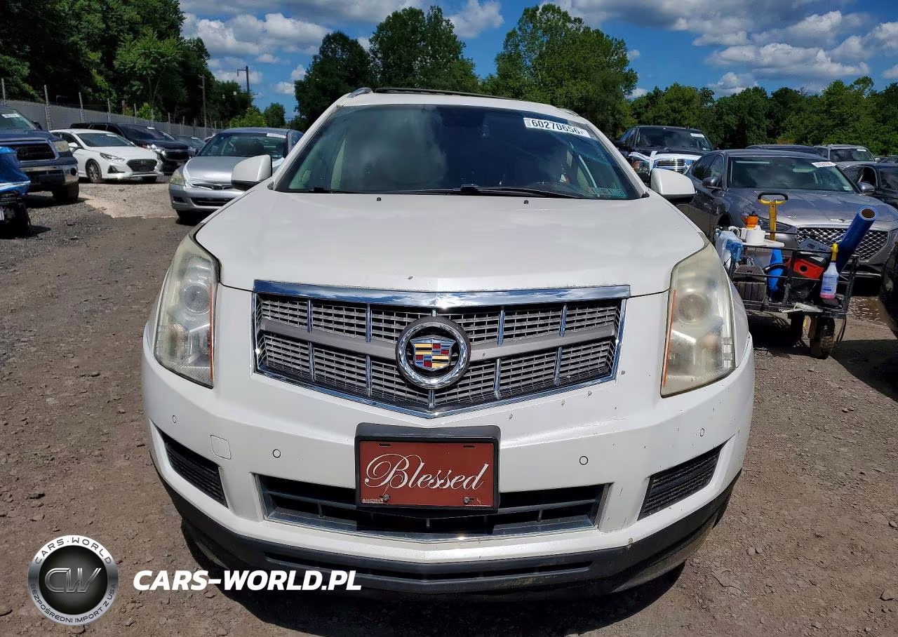 2010 Cadillac Srx Luxury Collection VIN:3GYFNDEY8AS642472 - 5