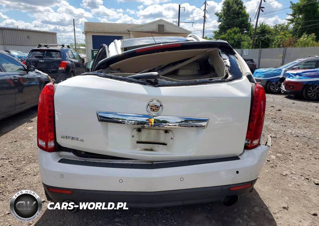 2010 Cadillac Srx Luxury Collection VIN:3GYFNDEY8AS642472 - 6