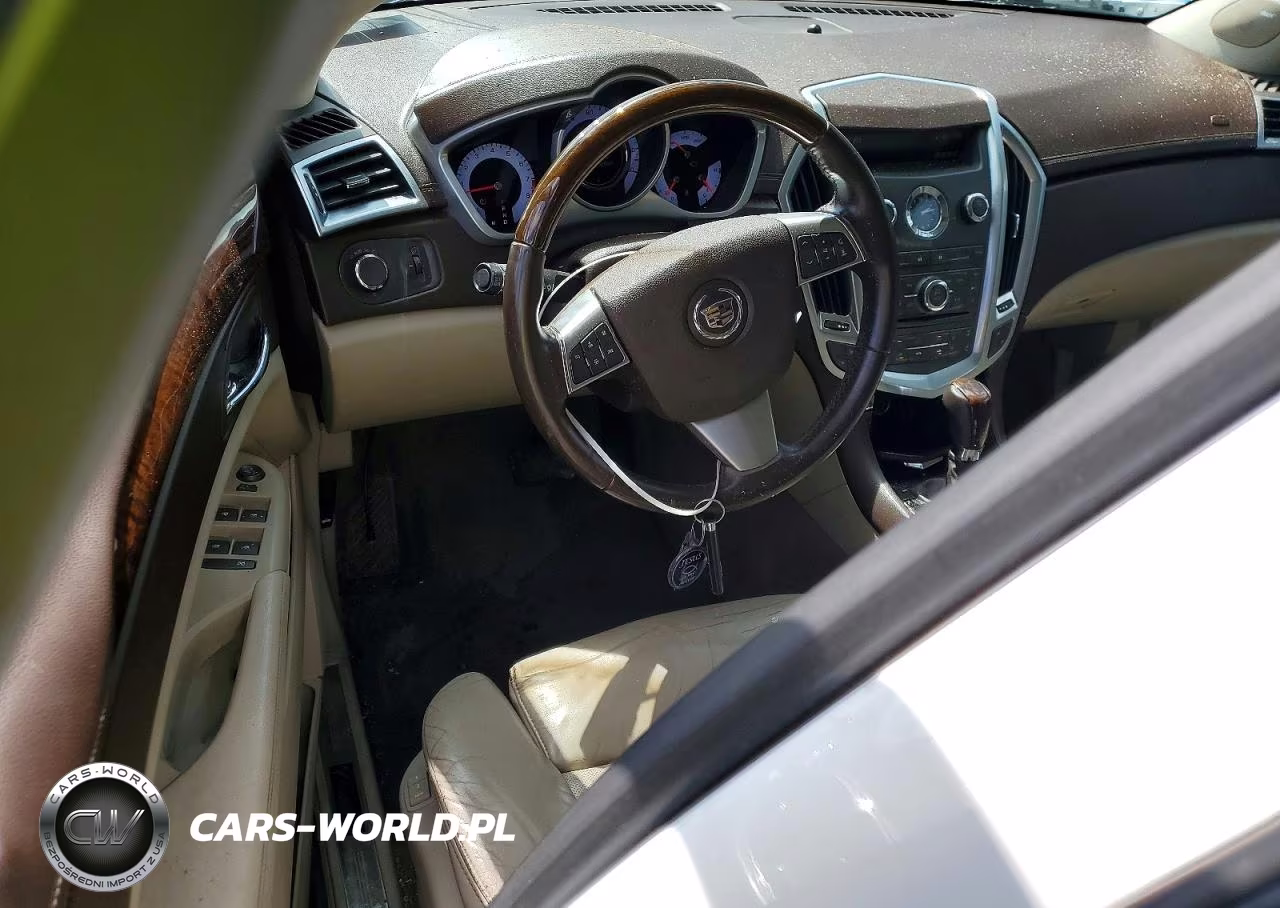 2010 Cadillac Srx Luxury Collection VIN:3GYFNDEY8AS642472 - 8