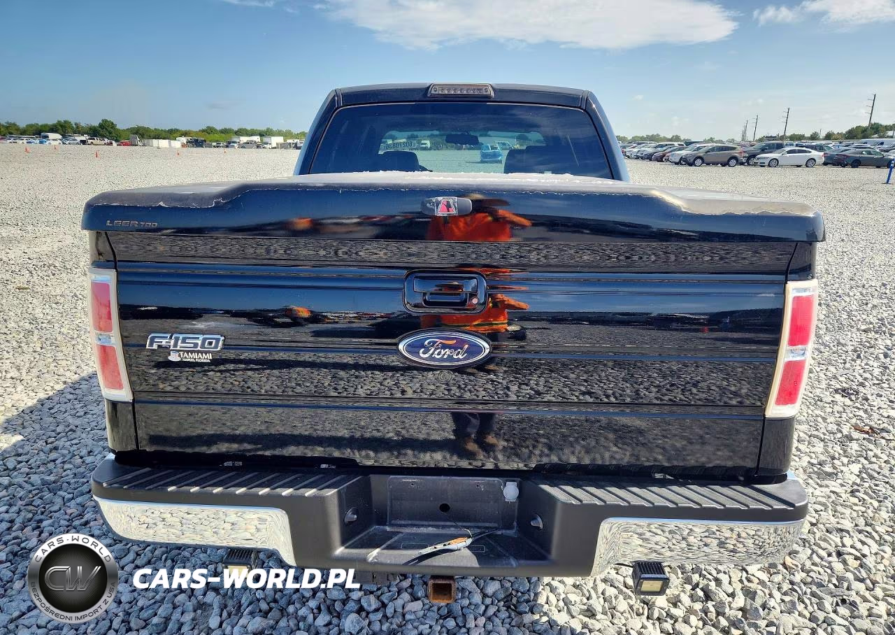 2009 Ford F150 Supercrew VIN:1FTPW14V99FA78716 - 6
