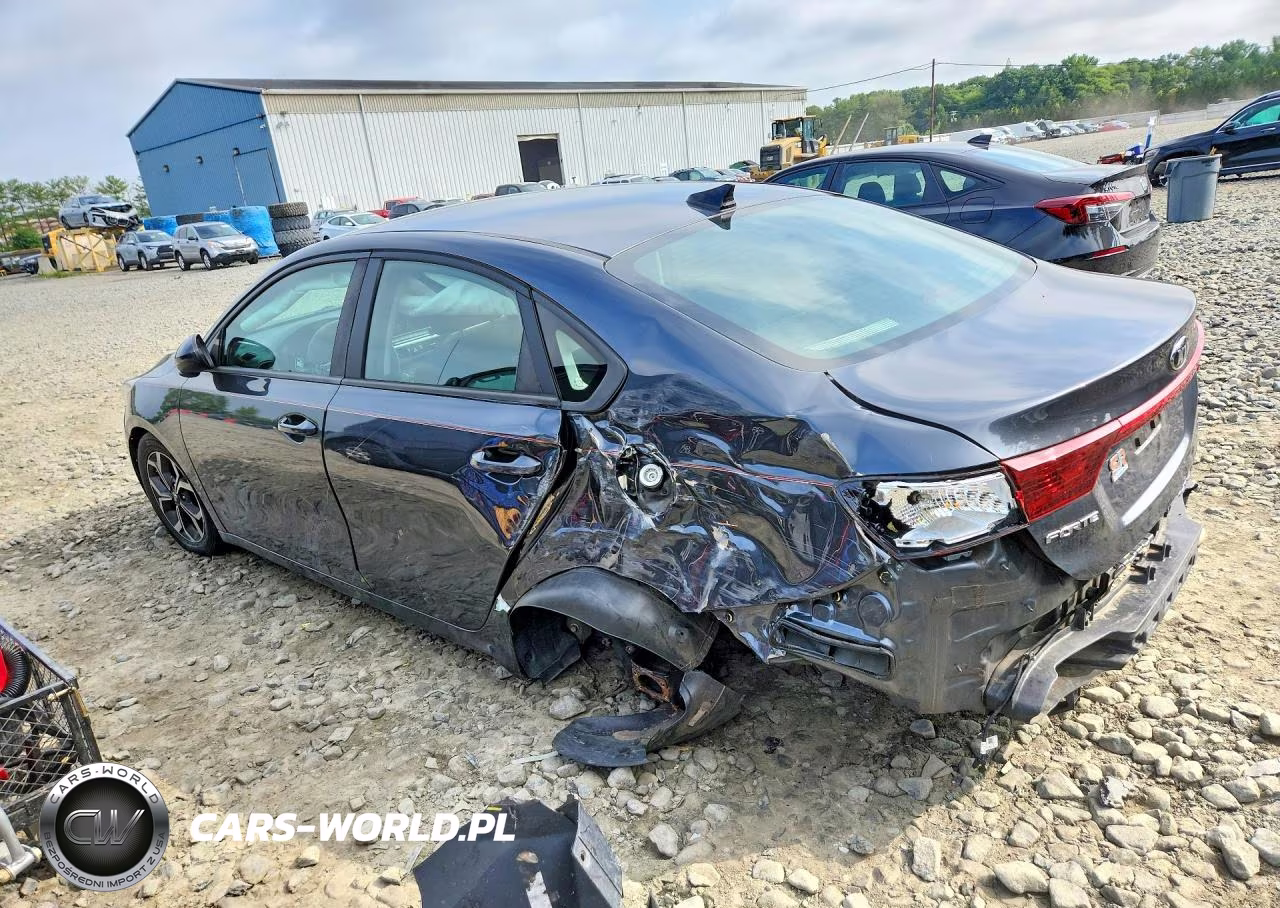 2020 Kia Forte Lxs VIN:3KPF24ADXLE167992 - 2