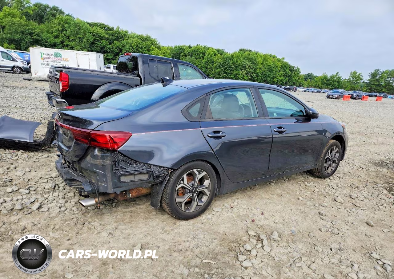 2020 Kia Forte Lxs VIN:3KPF24ADXLE167992 - 3