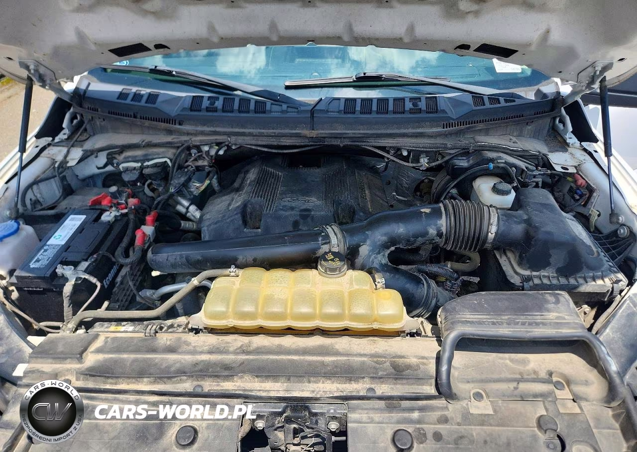 2019 Ford F150 VIN:1FTNF1E49KKD52197 - 11