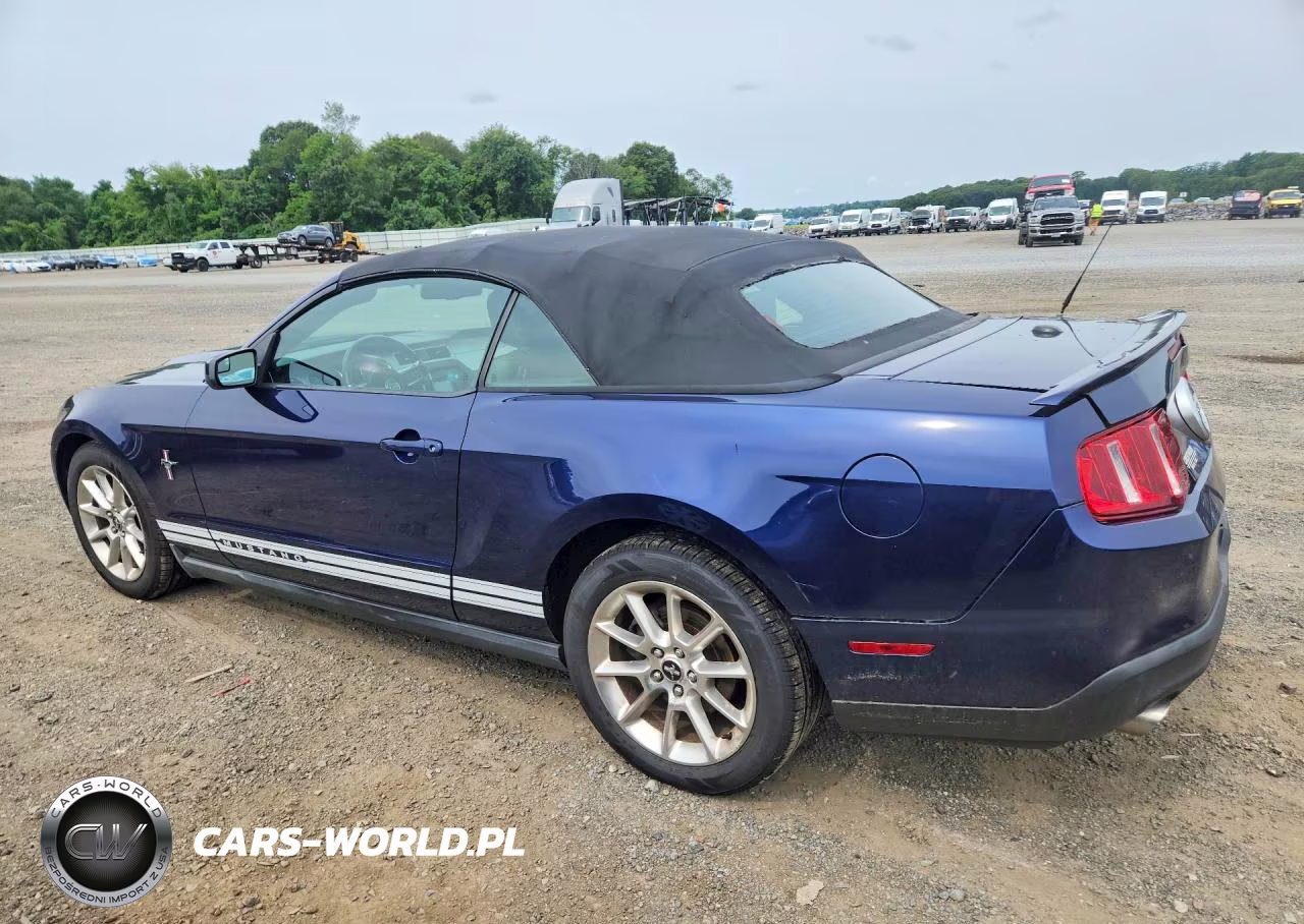 2011 Ford Mustang VIN:1ZVBP8EM9B5102768 - 2