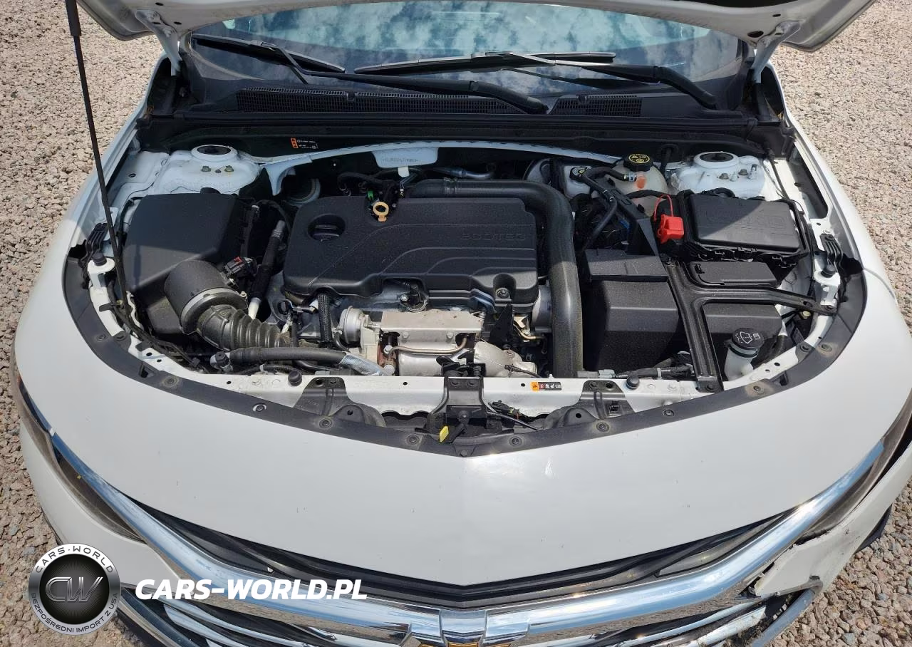 2020 Chevrolet Malibu Ls VIN:1G1ZB5STXLF149063 - 11
