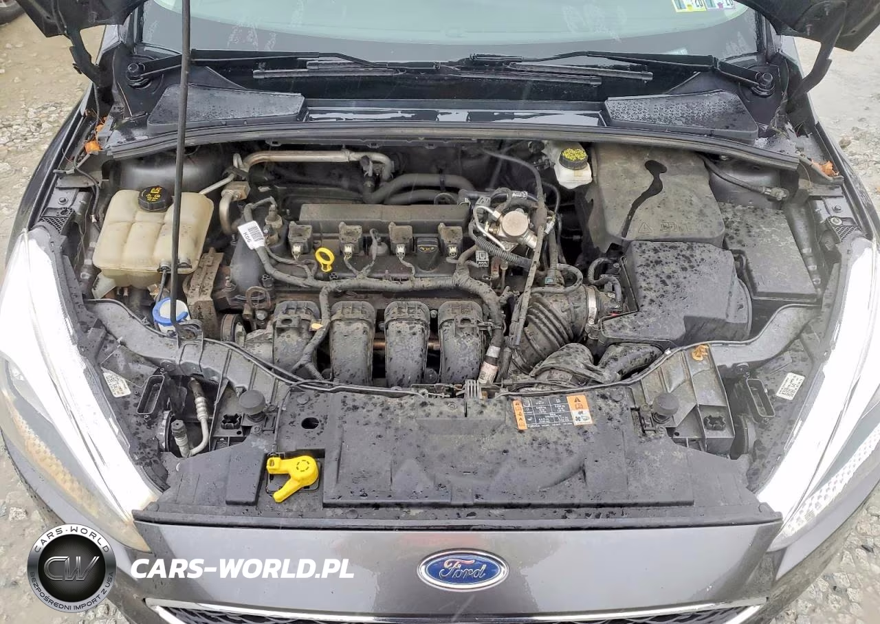 2018 Ford Focus Se VIN:1FADP3K28JL307094 - 11