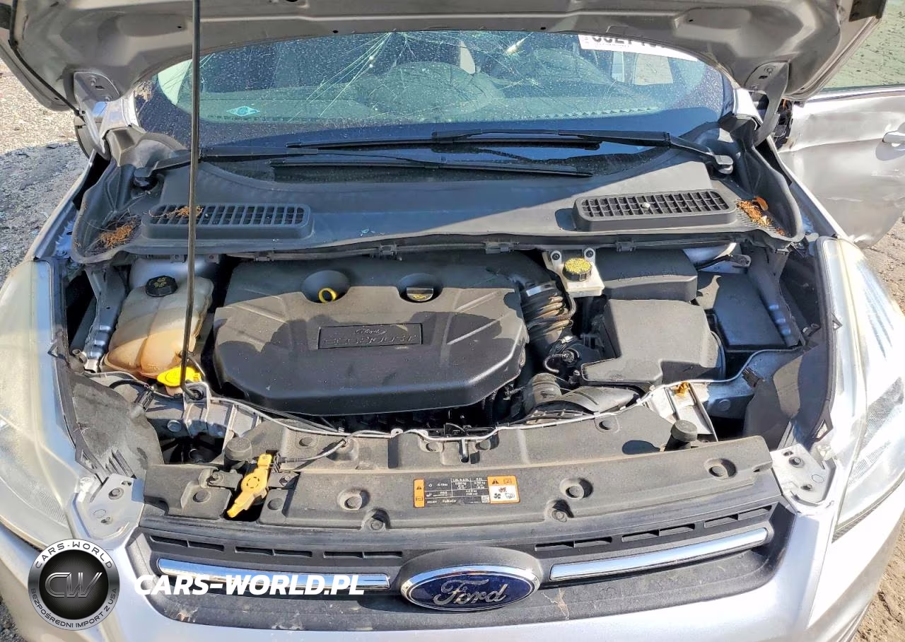 2016 Ford Escape Se VIN:1FMCU0G96GUA54360 - 12