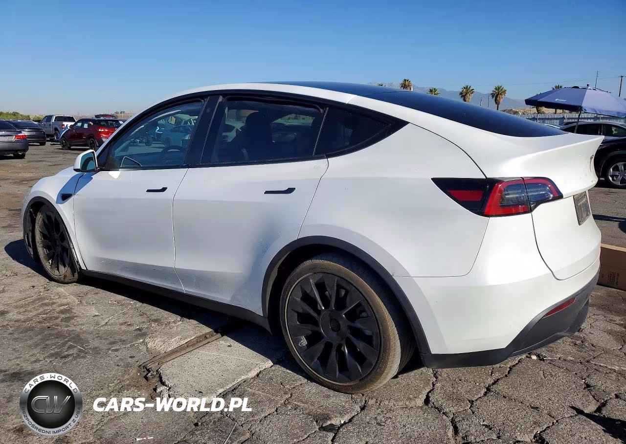 2023 Tesla Model Y VIN:7SAYGDEE9PA106114 - 2