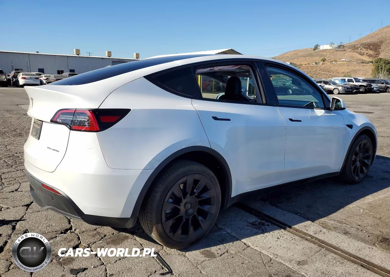 2023 Tesla Model Y VIN:7SAYGDEE9PA106114 - 3