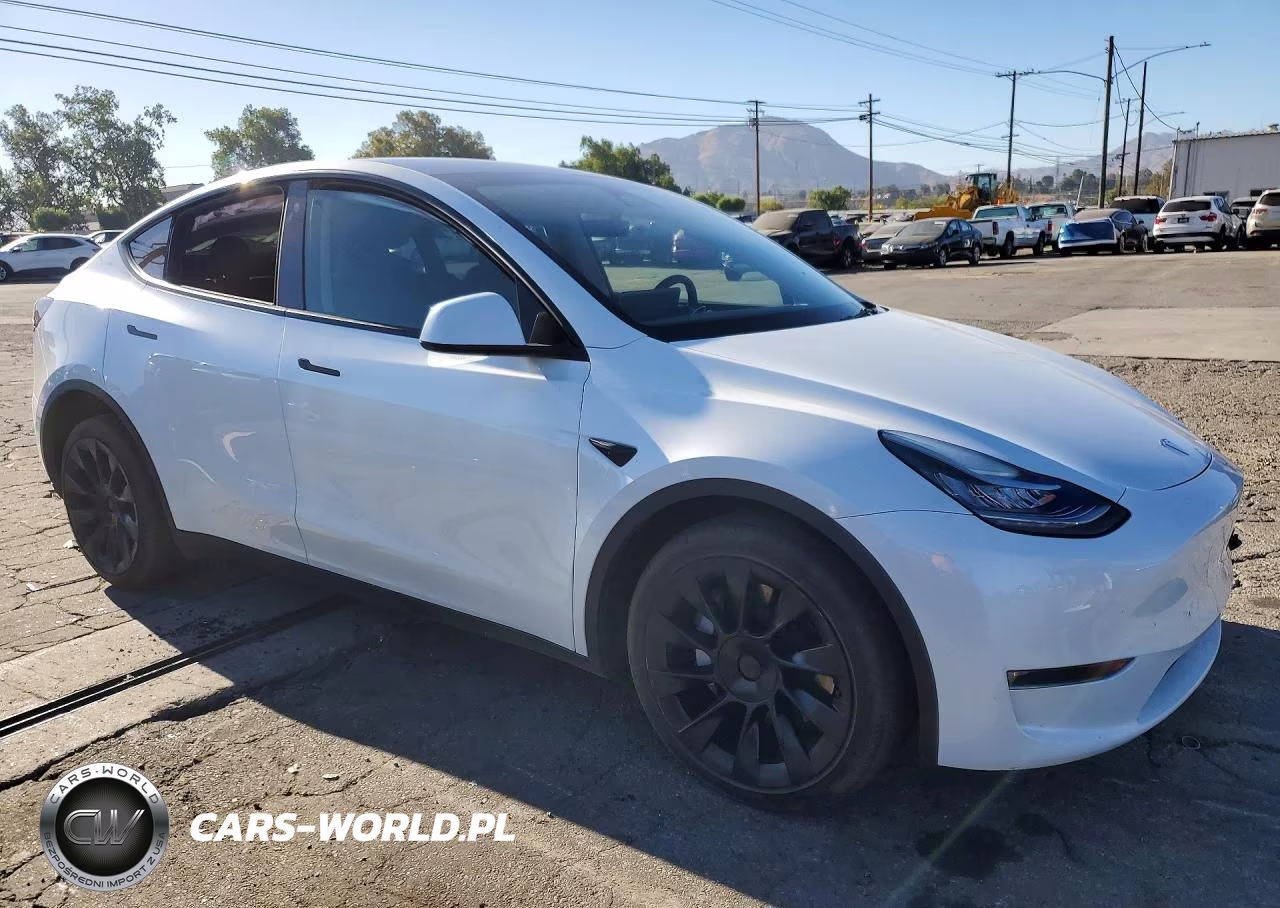 2023 Tesla Model Y VIN:7SAYGDEE9PA106114 - 4
