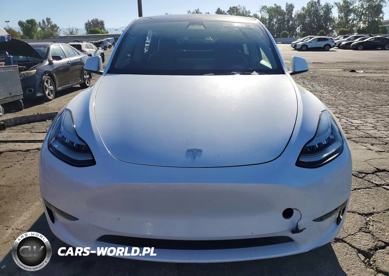 2023 Tesla Model Y VIN:7SAYGDEE9PA106114 - 5