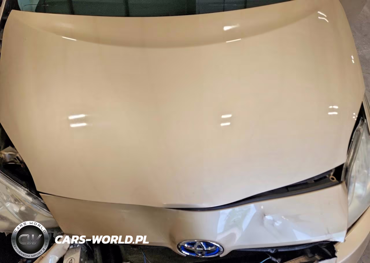 2010 Toyota Prius Iv VIN:JTDKN3DU6A0073819 - 11