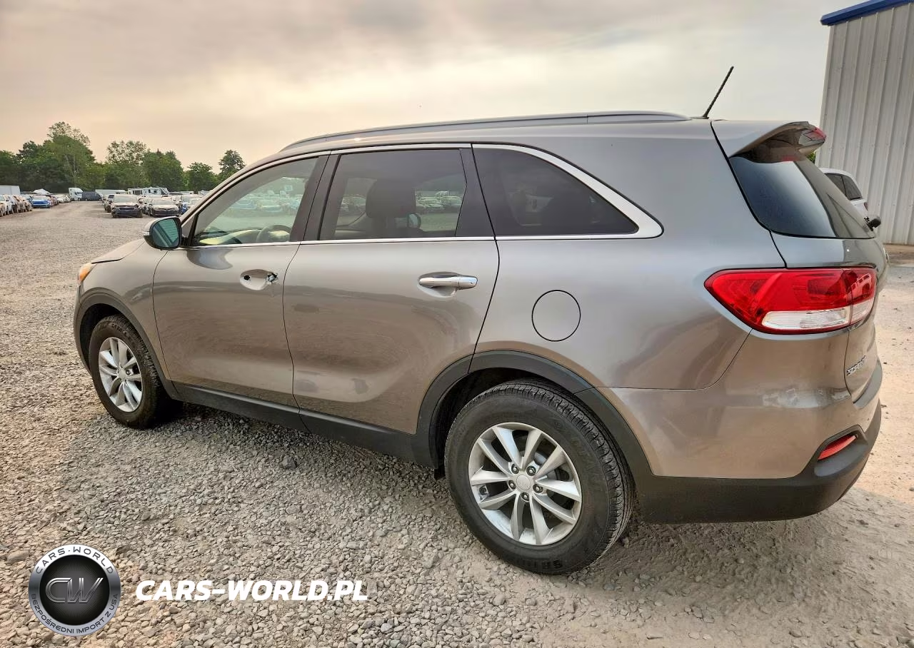 2017 Kia Sorento Lx VIN:5XYPG4A39HG192356 - 2