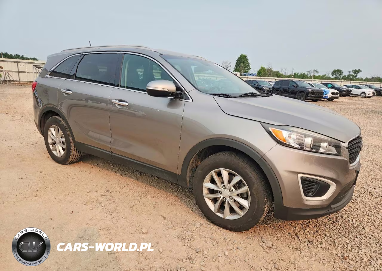 2017 Kia Sorento Lx VIN:5XYPG4A39HG192356 - 4