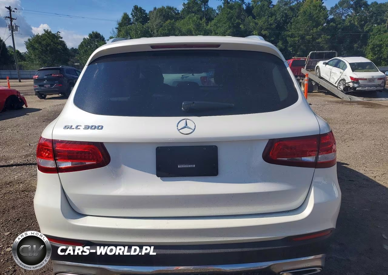 2017 Mercedes-Benz Glc 300 VIN:WDC0G4JB8HF249023 - 6