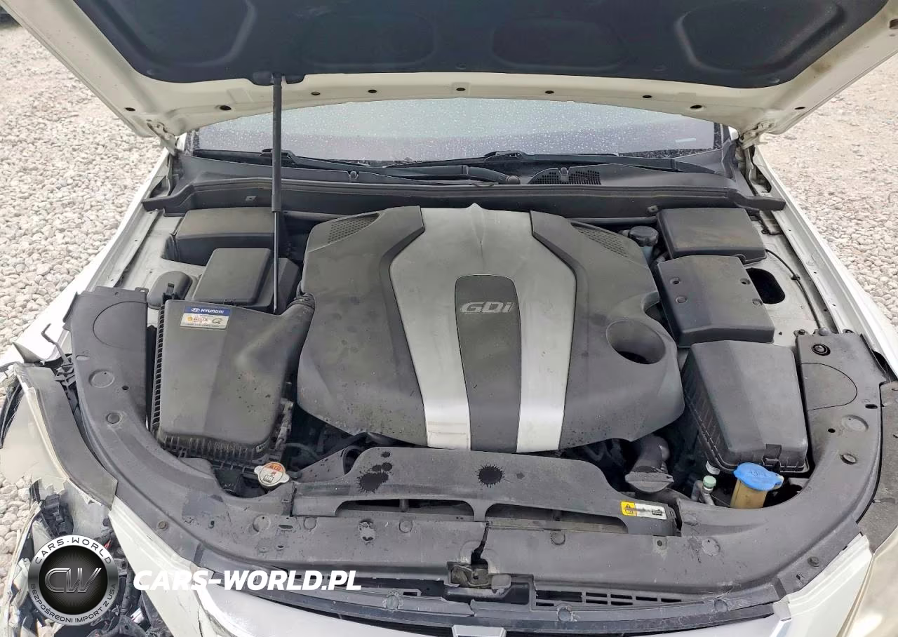 2012 Hyundai Genesis 3.8L VIN:KMHGC4DD0CU194046 - 12