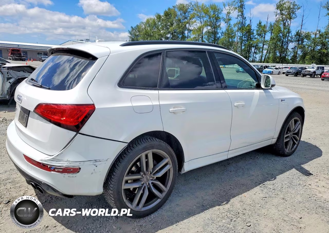 2015 Audi Sq5 Prestige VIN:WA1VGAFP9FA122140 - 3