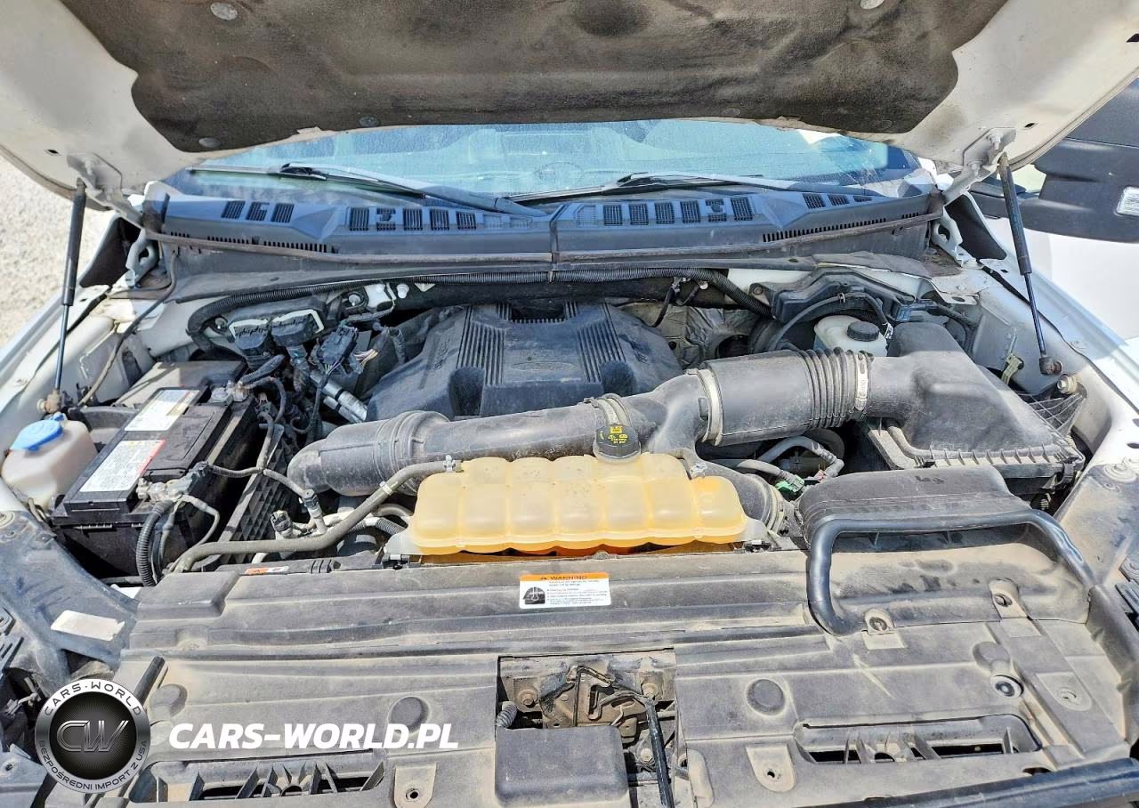 2017 Ford F150 Supercrew VIN:1FTEW1EG4HKE40562 - 11