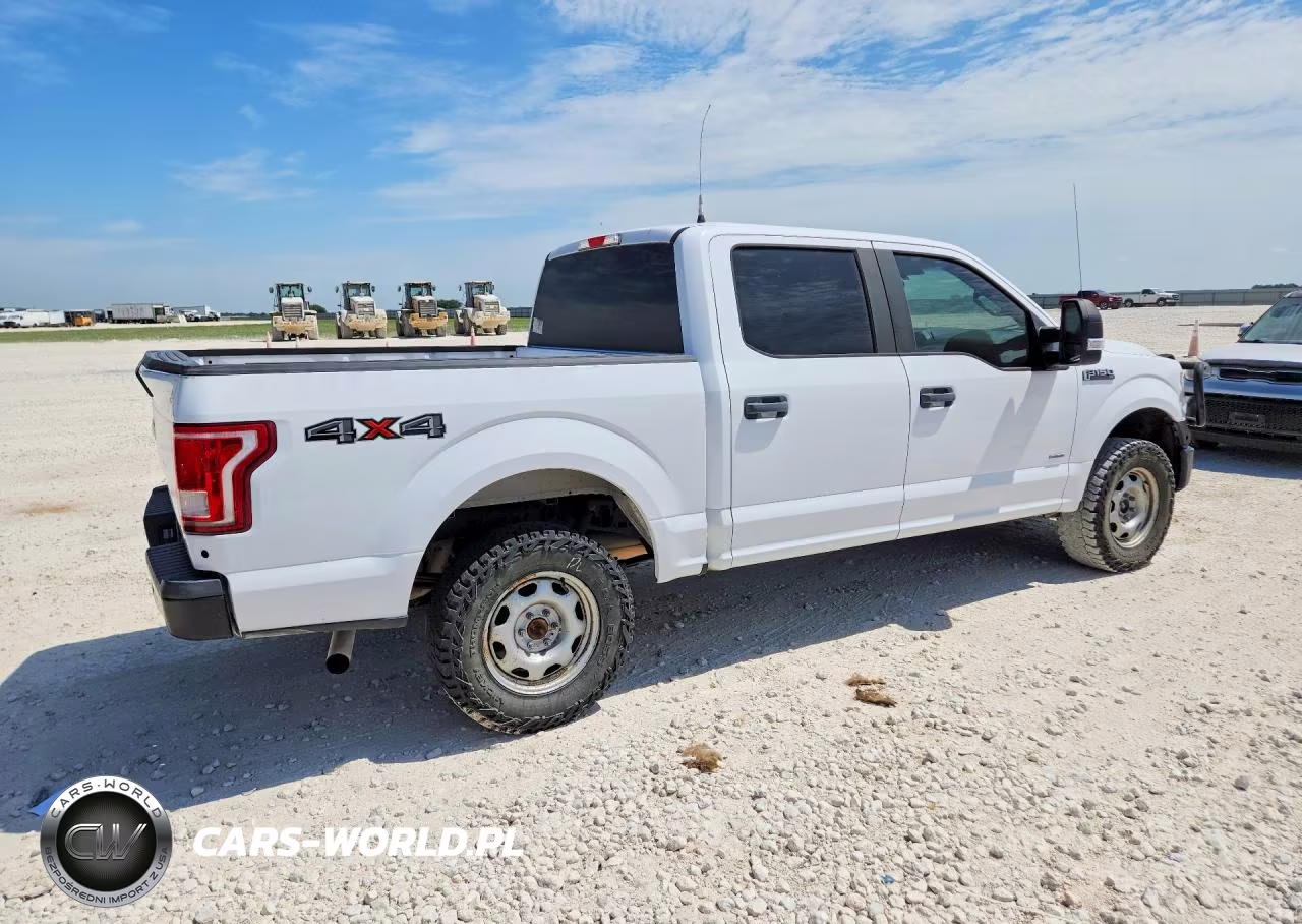 2017 Ford F150 Supercrew VIN:1FTEW1EG4HKE40562 - 3