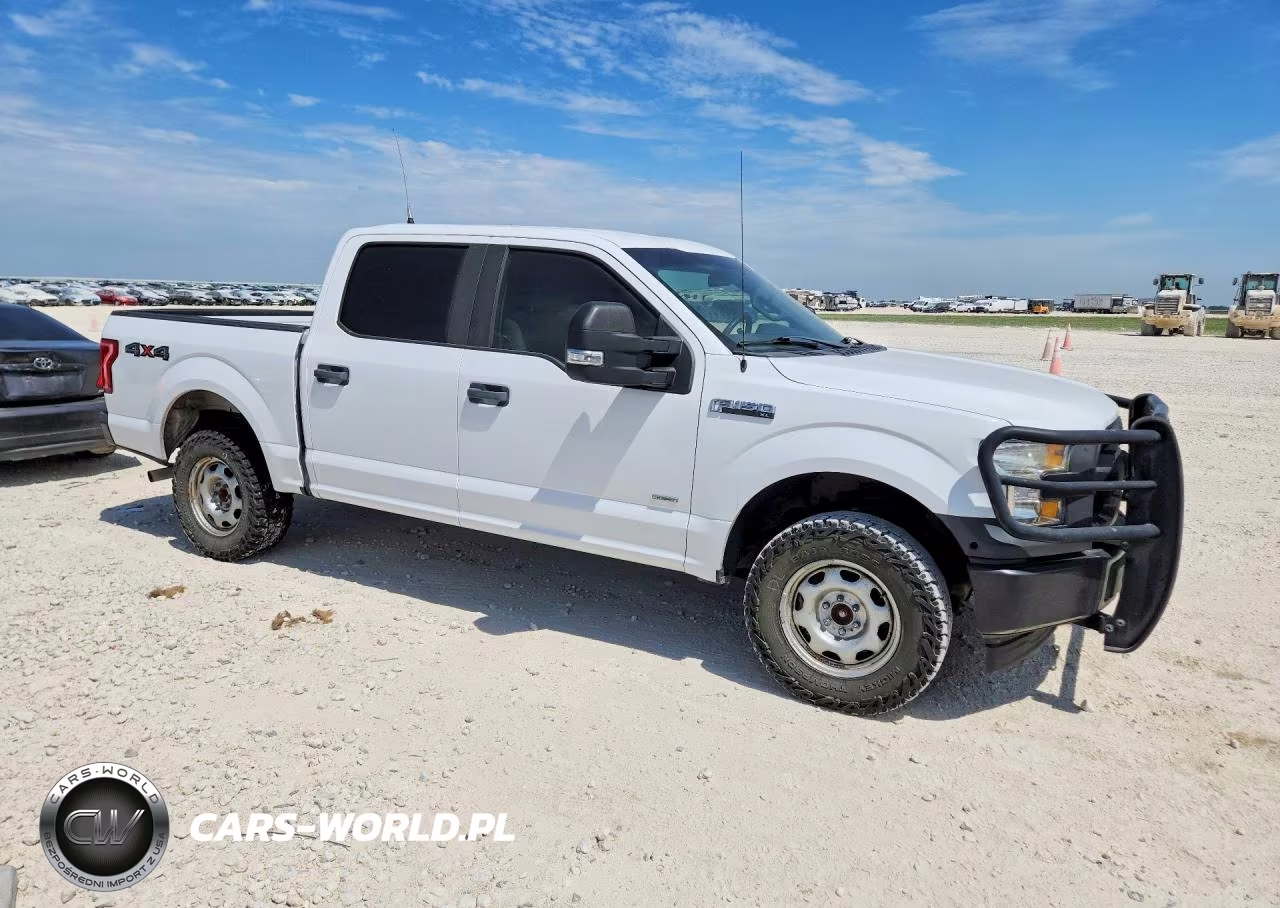 2017 Ford F150 Supercrew VIN:1FTEW1EG4HKE40562 - 4
