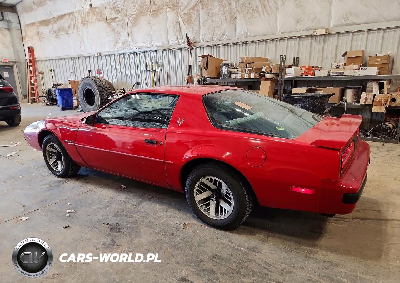 1989 Pontiac Firebird VIN:1G2FS21S7KL213212 - 2