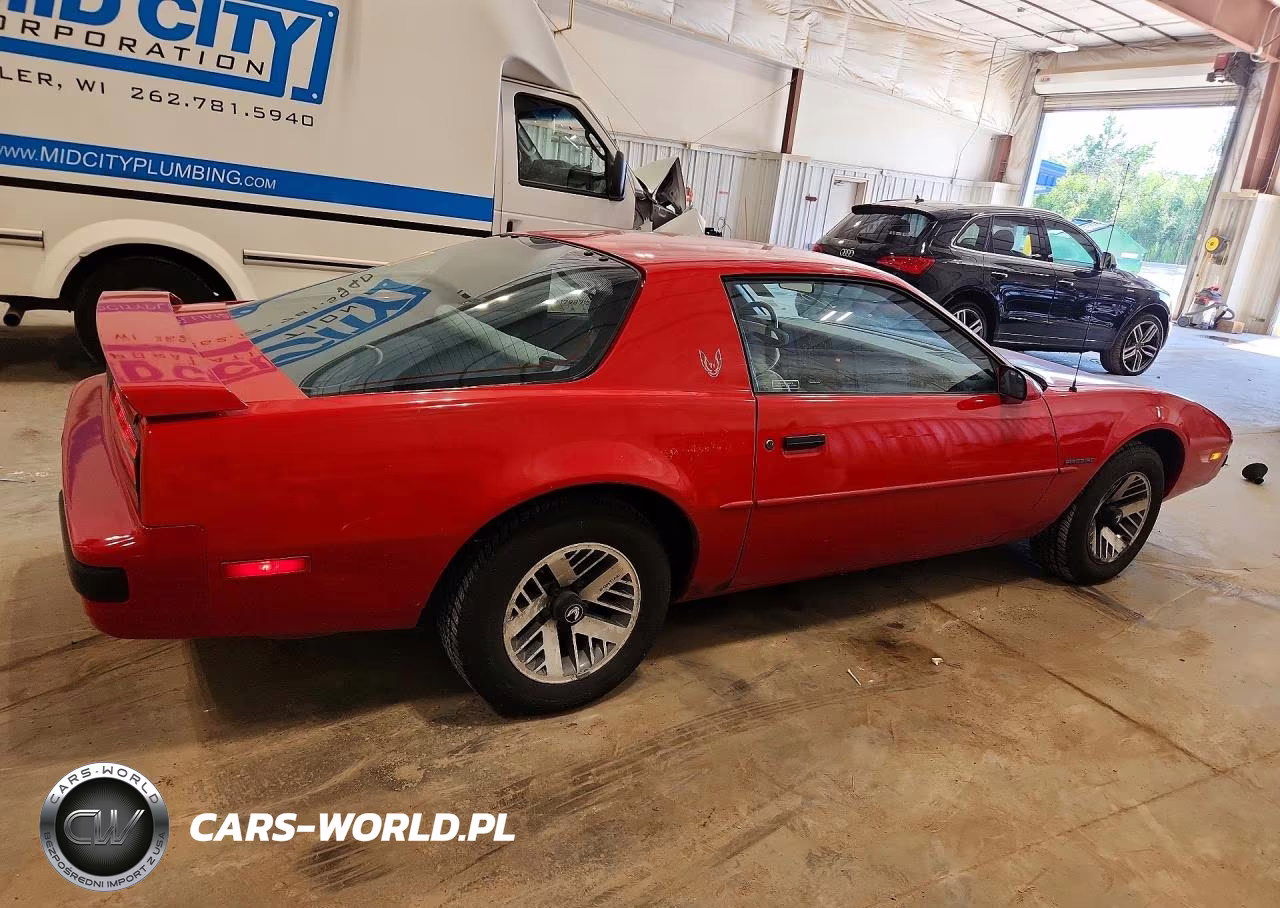 1989 Pontiac Firebird VIN:1G2FS21S7KL213212 - 3