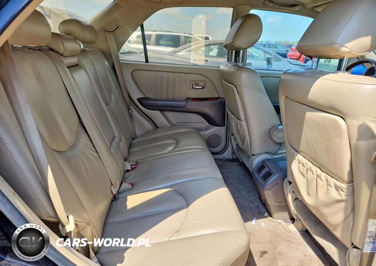 2003 Lexus Rx 300 VIN:JTJHF10U930308537 - 10