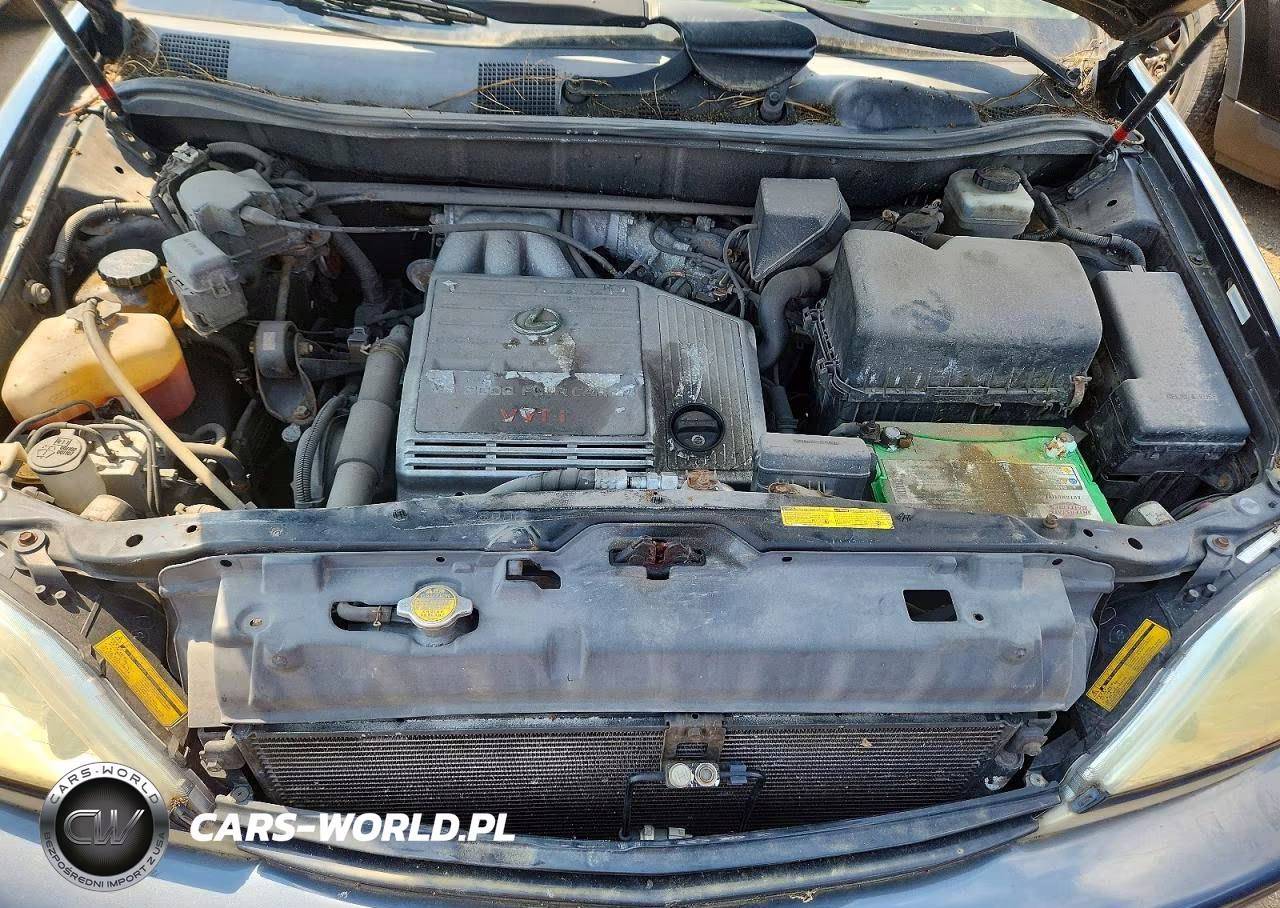 2003 Lexus Rx 300 VIN:JTJHF10U930308537 - 11