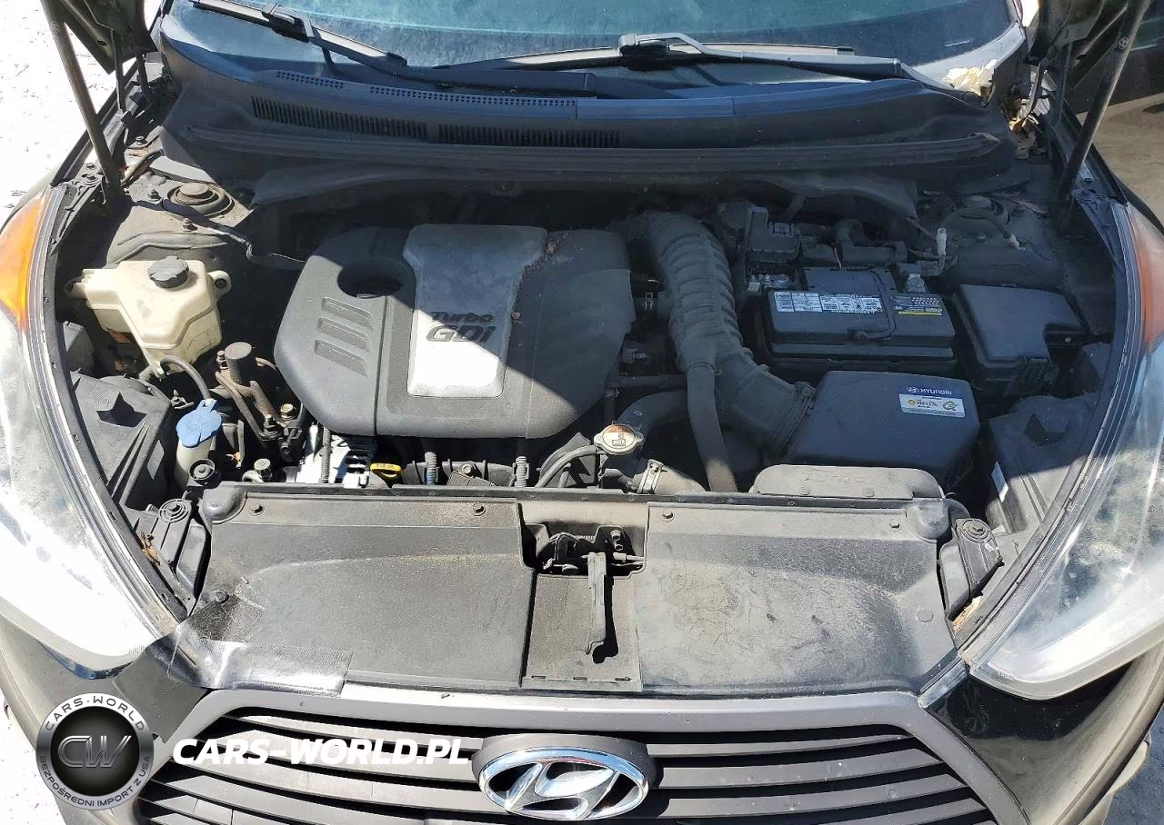 2016 Hyundai Veloster Turbo VIN:KMHTC6AE7GU296473 - 11