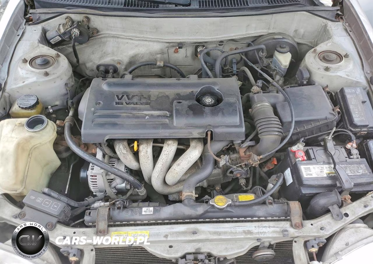 2000 Toyota Corolla Ve VIN:1NXBR12E3YZ383820 - 11