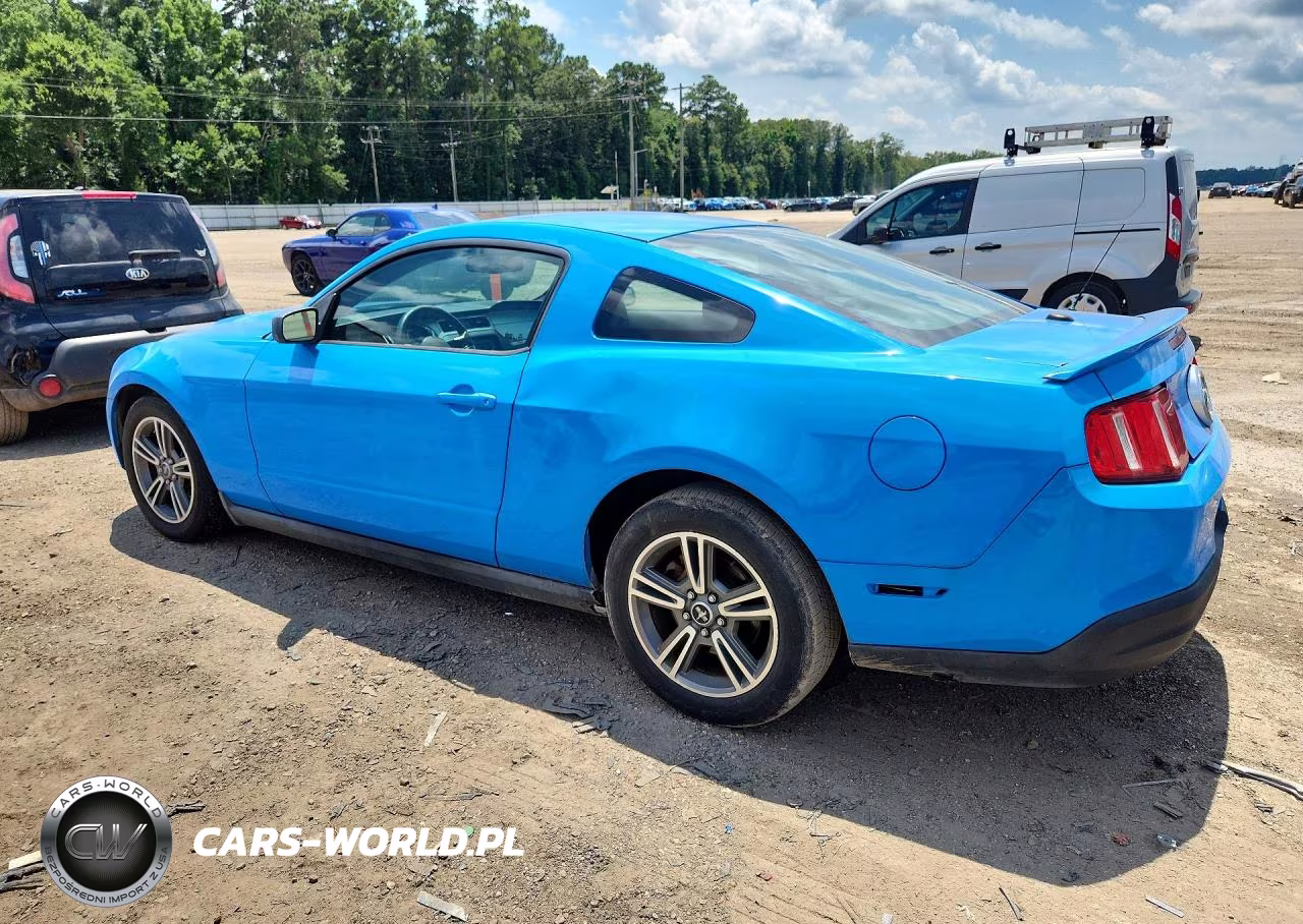 2010 Ford Mustang VIN:1ZVBP8AN9A5165169 - 2