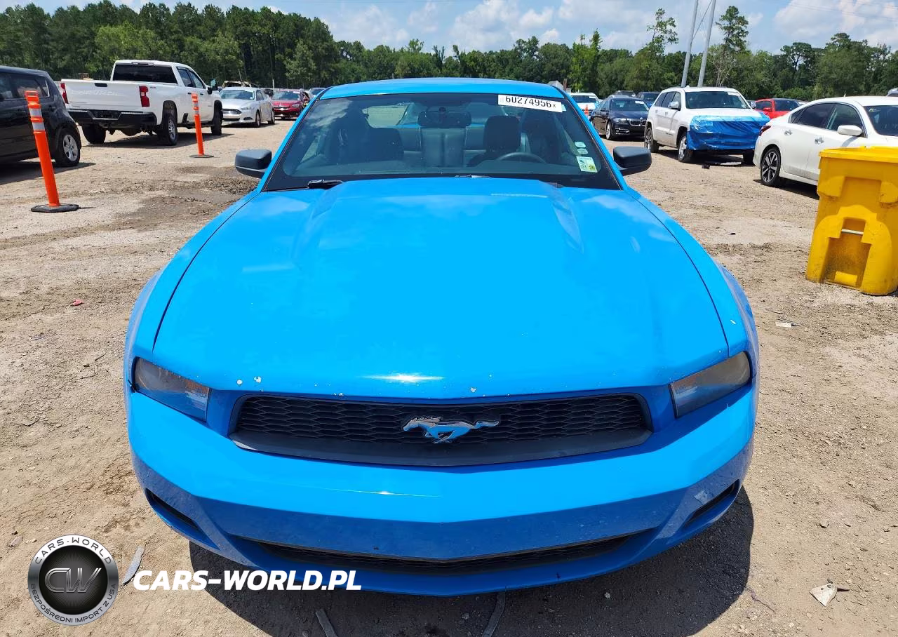 2010 Ford Mustang VIN:1ZVBP8AN9A5165169 - 5