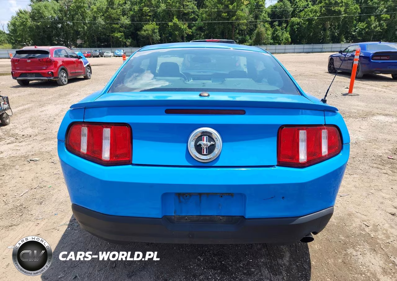 2010 Ford Mustang VIN:1ZVBP8AN9A5165169 - 6