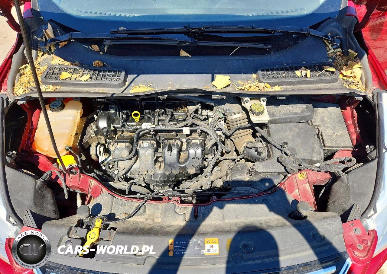 2013 Ford Escape Sel VIN:1FMCU9H9XDUD44972 - 11
