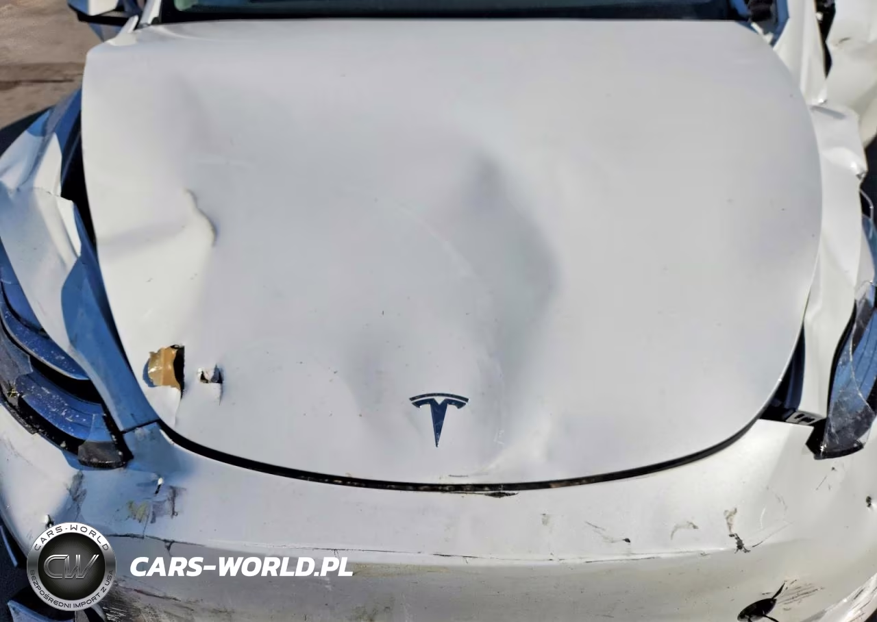 2022 Tesla Model Y VIN:7SAYGDEE2NF371652 - 12