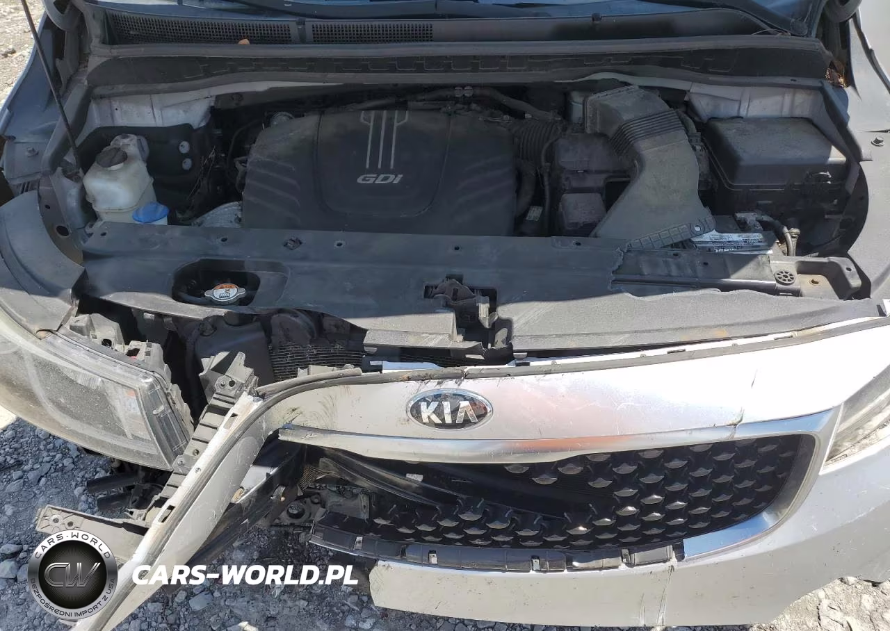 2016 Kia Sedona Ex VIN:KNDMC5C13G6171472 - 12