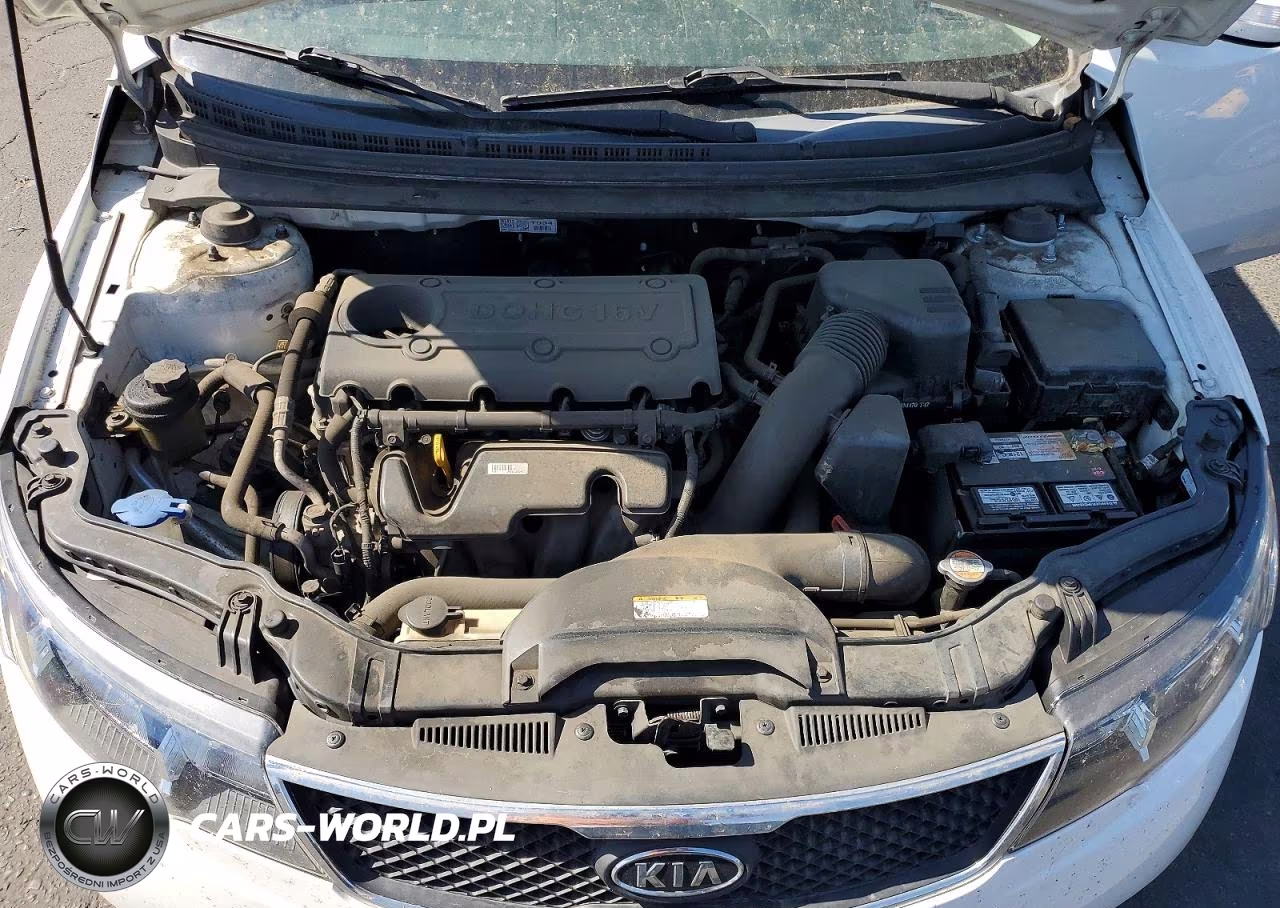 2010 Kia Forte Ex VIN:KNAFU4A22A5287459 - 11