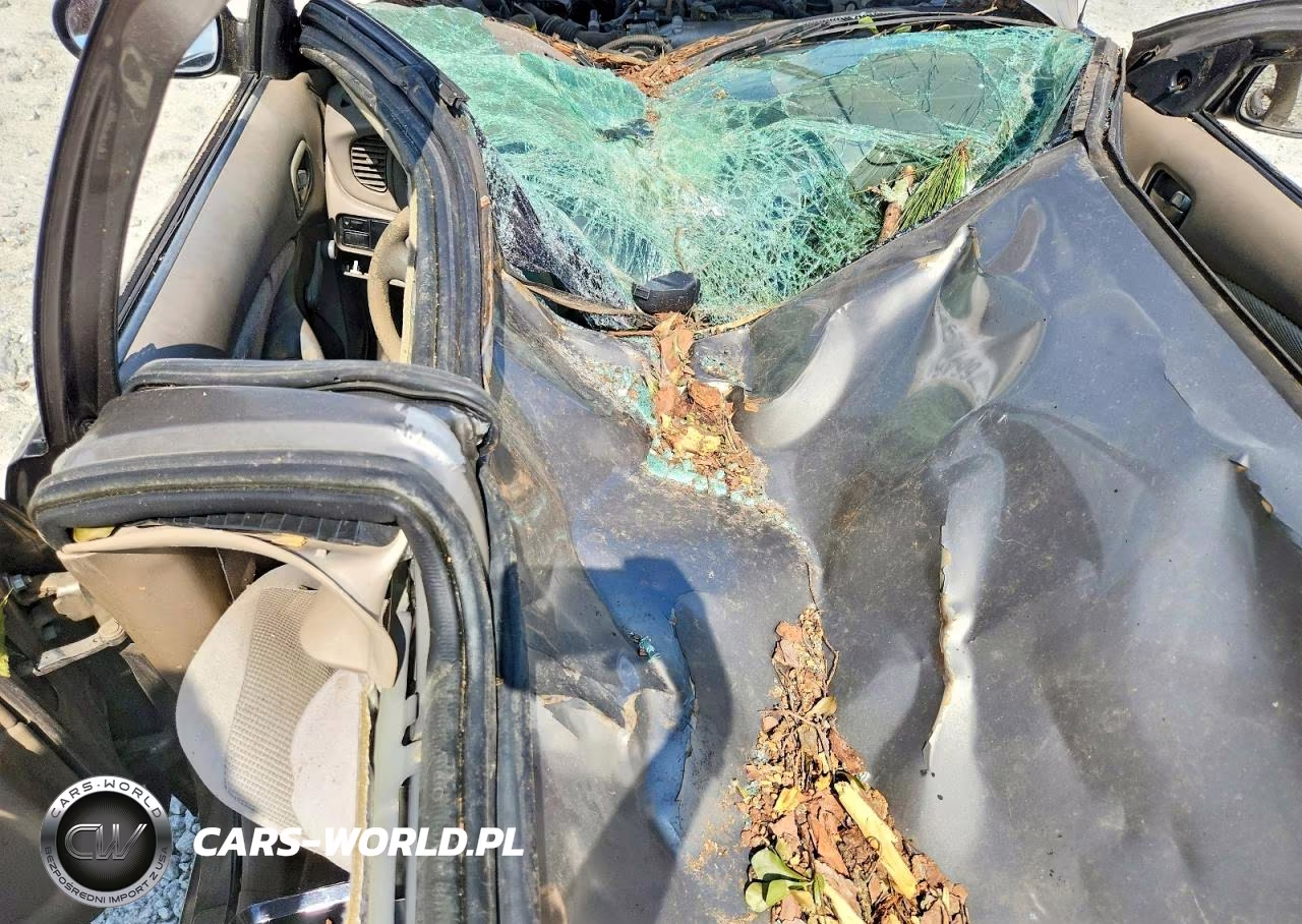 2006 Nissan Sentra 1.8 VIN:3N1CB51D56L554414 - 8