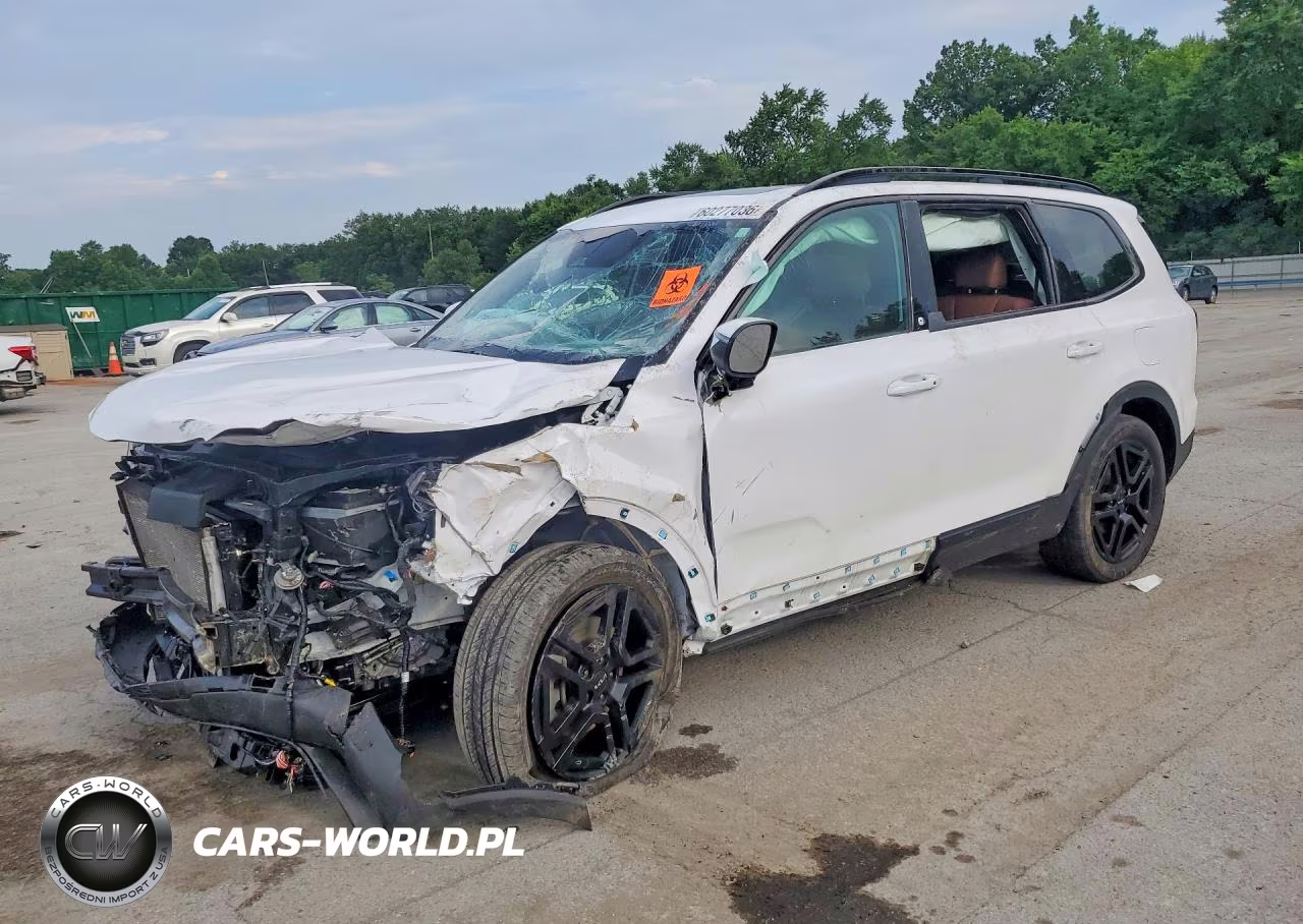 2024 Kia Telluride Ex X-Line VIN:5XYP3DGC0RG551839 - 1