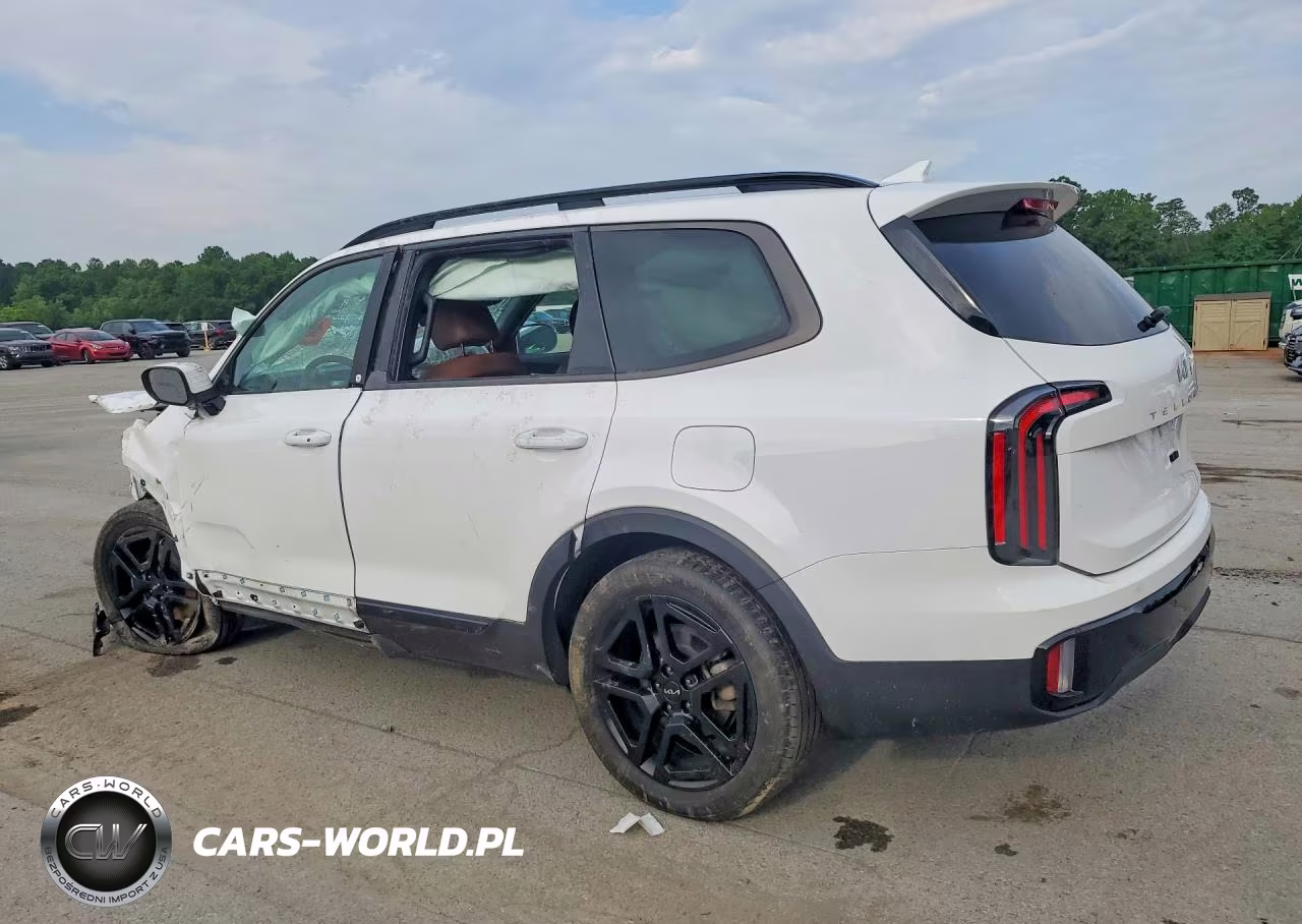 2024 Kia Telluride Ex X-Line VIN:5XYP3DGC0RG551839 - 2