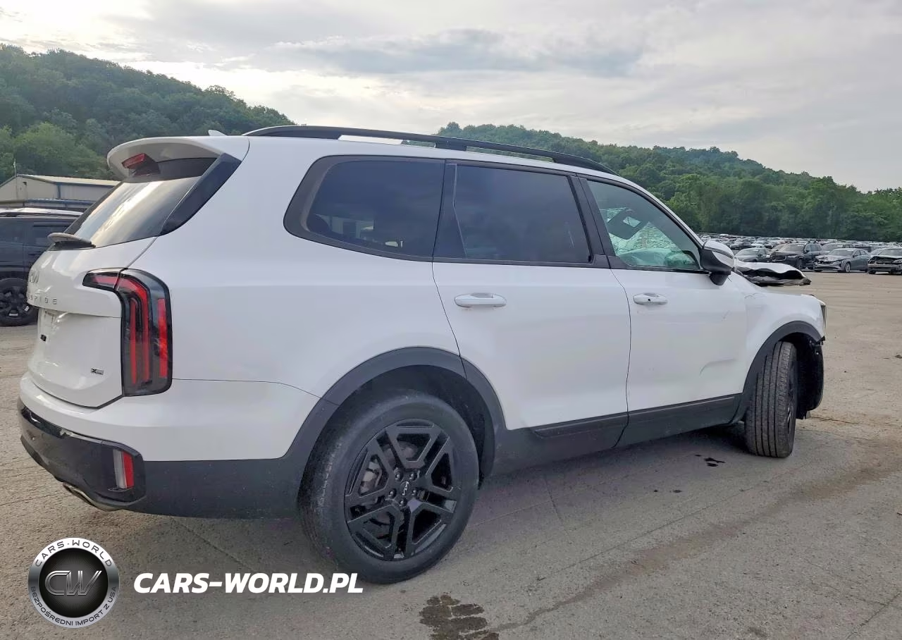 2024 Kia Telluride Ex X-Line VIN:5XYP3DGC0RG551839 - 3