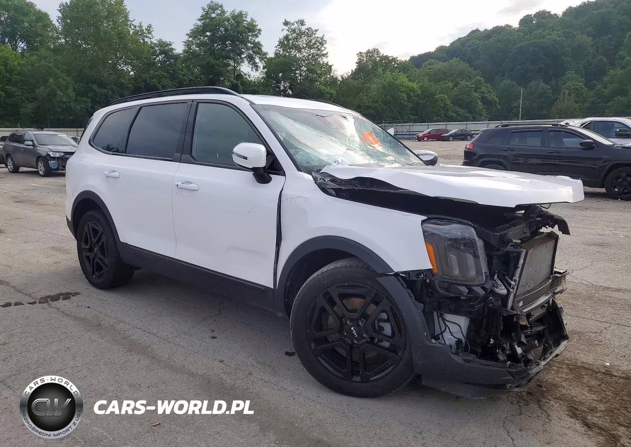 2024 Kia Telluride Ex X-Line VIN:5XYP3DGC0RG551839 - 4