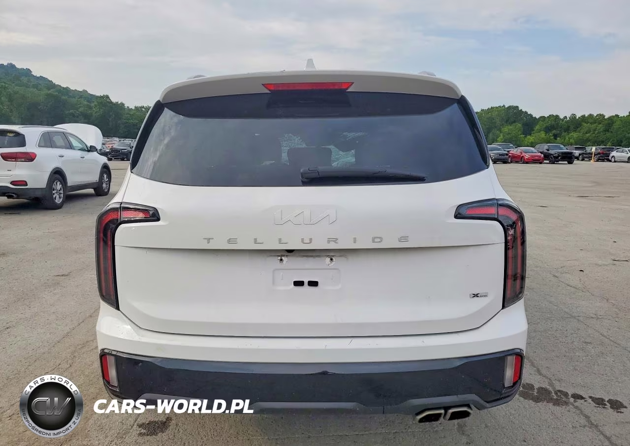 2024 Kia Telluride Ex X-Line VIN:5XYP3DGC0RG551839 - 6