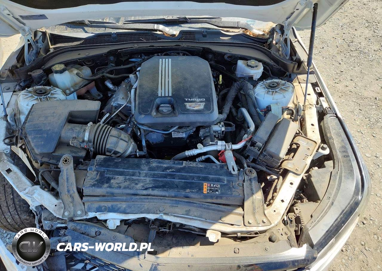 2023 Cadillac Ct4 Luxury VIN:1G6DJ5RK5P0123158 - 11