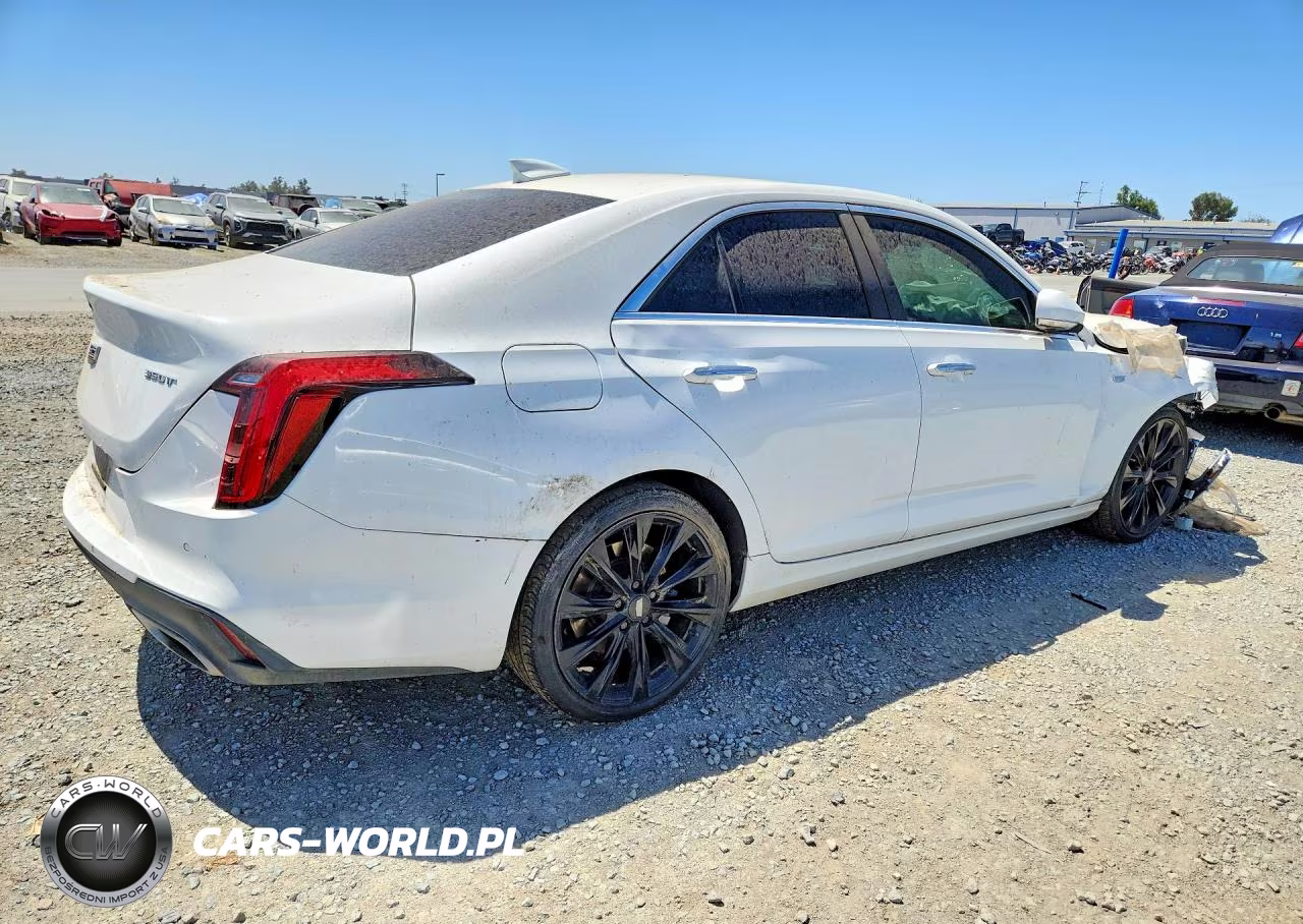 2023 Cadillac Ct4 Luxury VIN:1G6DJ5RK5P0123158 - 3