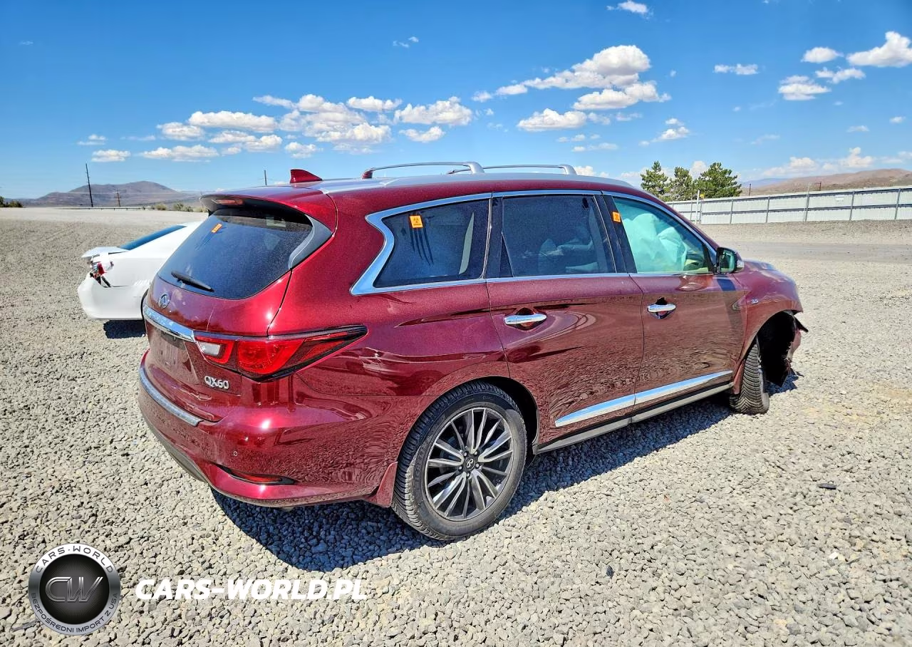 2019 Infiniti Qx60 Luxe VIN:5N1DL0MM5KC503154 - 3