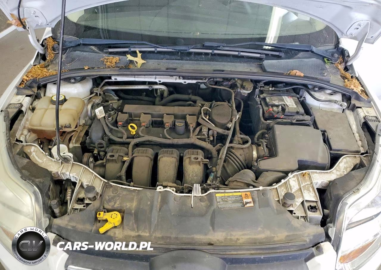 2014 Ford Focus Se VIN:1FADP3F27EL238351 - 11