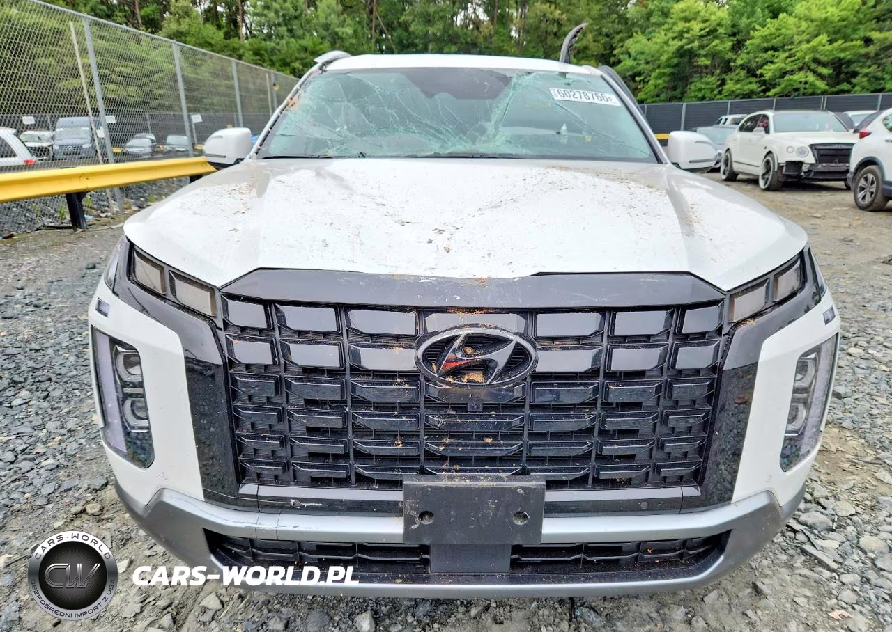 2024 Hyundai Palisade Sel Premium VIN:KM8R4DGE5RU804784 - 11